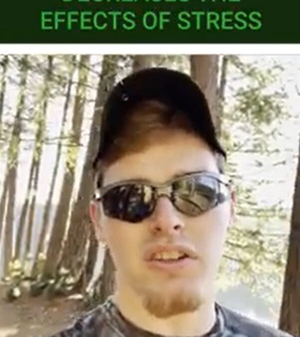 Decreases The Effects Of Stress