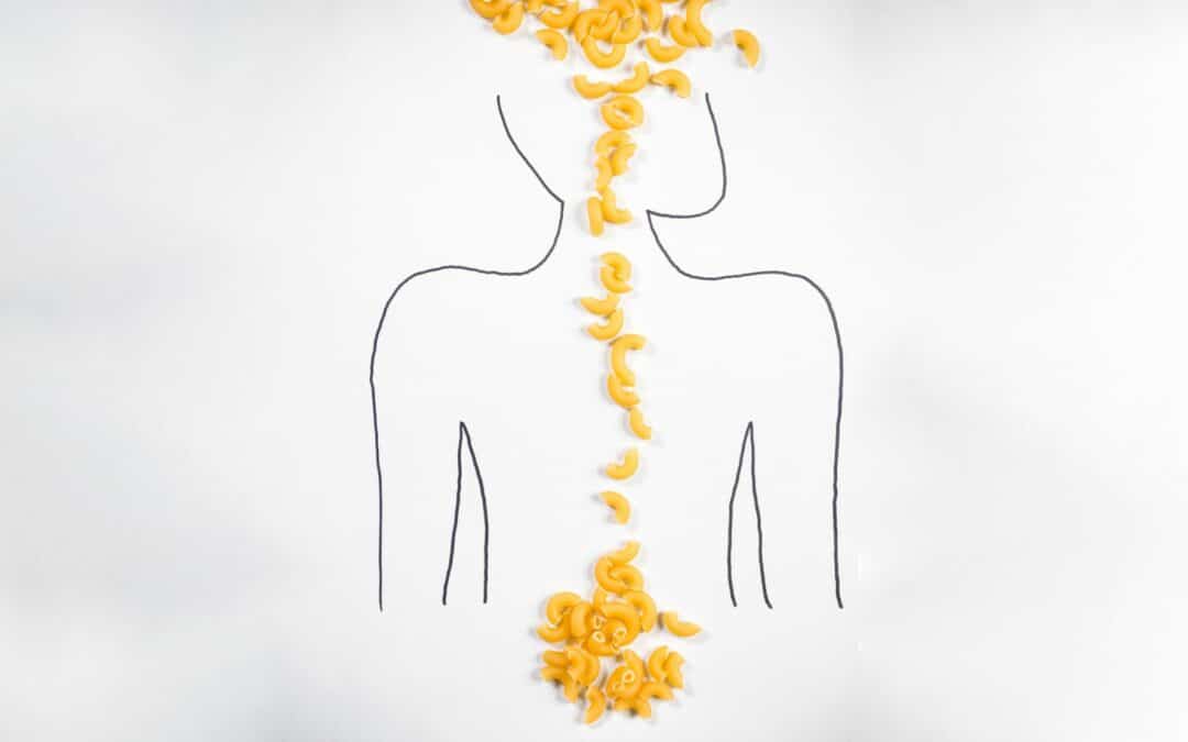 Brian Gut Connection