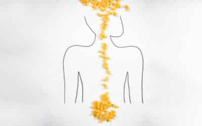 Brian Gut Connection